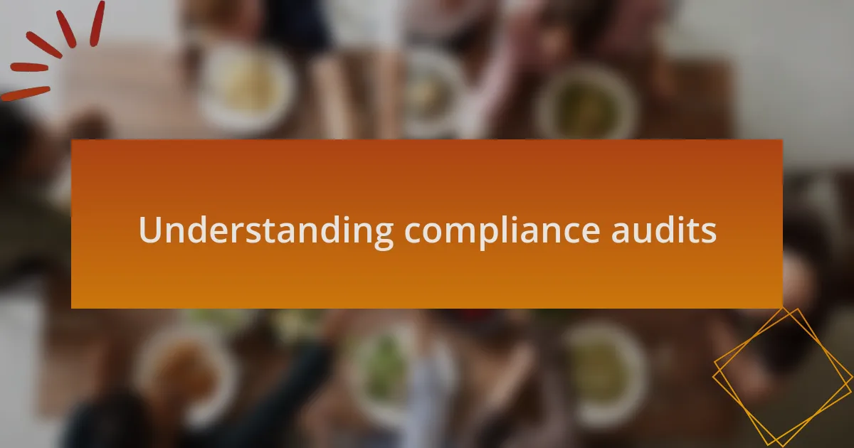 Understanding compliance audits